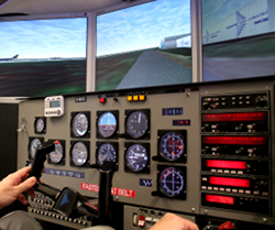 Flight Simulator - photograph